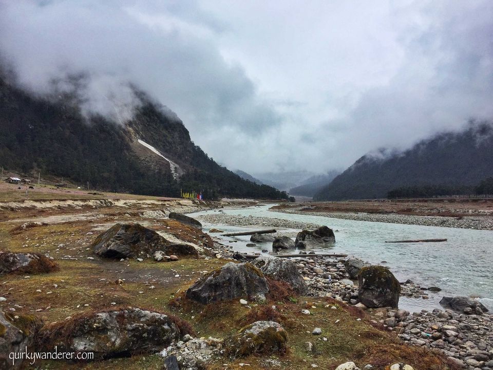 Photo of The Paradise Called Yumthang Valley by Divyakshi Gupta
