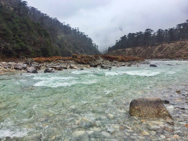 Photo of The Paradise Called Yumthang Valley by Divyakshi Gupta