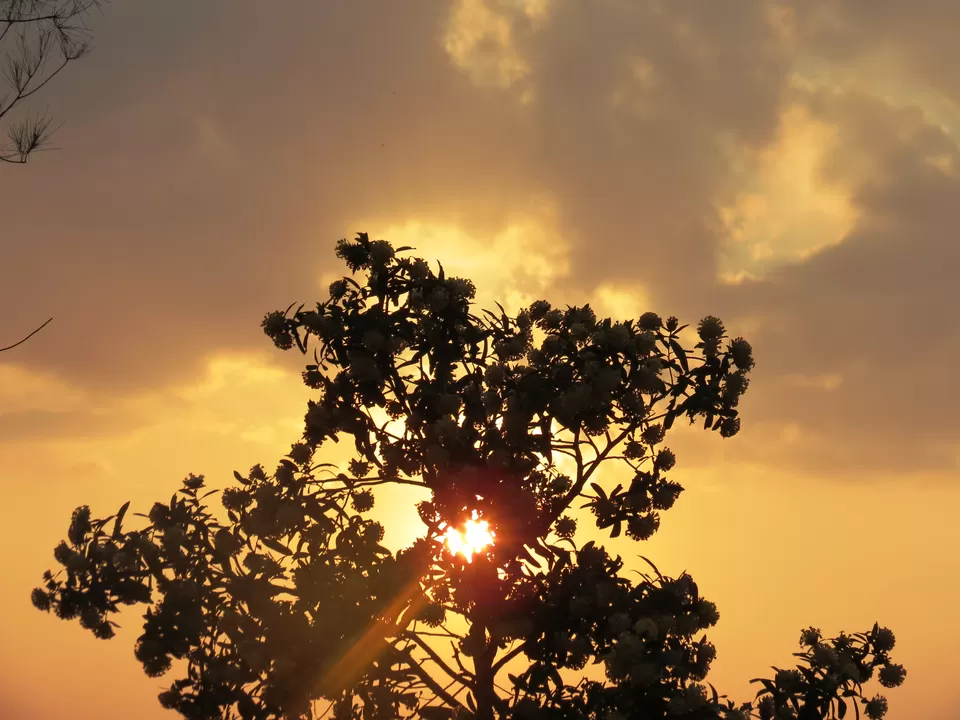Photo of Sydney Point, Panchgani, Maharashtra, India by Priti Gupta