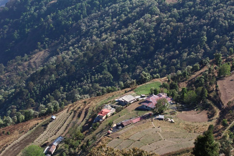 Photo of Dhanolti, Uttarakhand, India by vidit singhvi