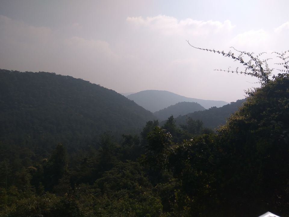 Photo of Away from the world Into Deep Jungles..Maredumilli by Hemanth Reddy
