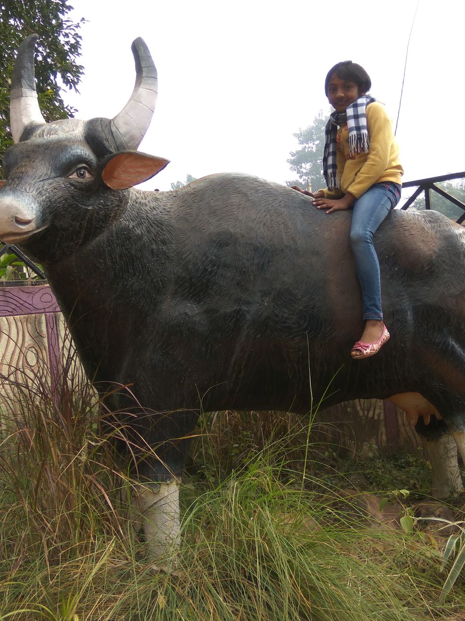 Photo of Maredumilli, Andhra Pradesh, India by Hemanth Reddy