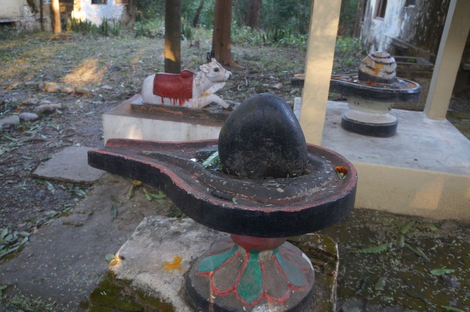 Photo of Beatles Ashram, Swarg Ashram, Rishikesh, Uttarakhand, India by Girish Jaitly