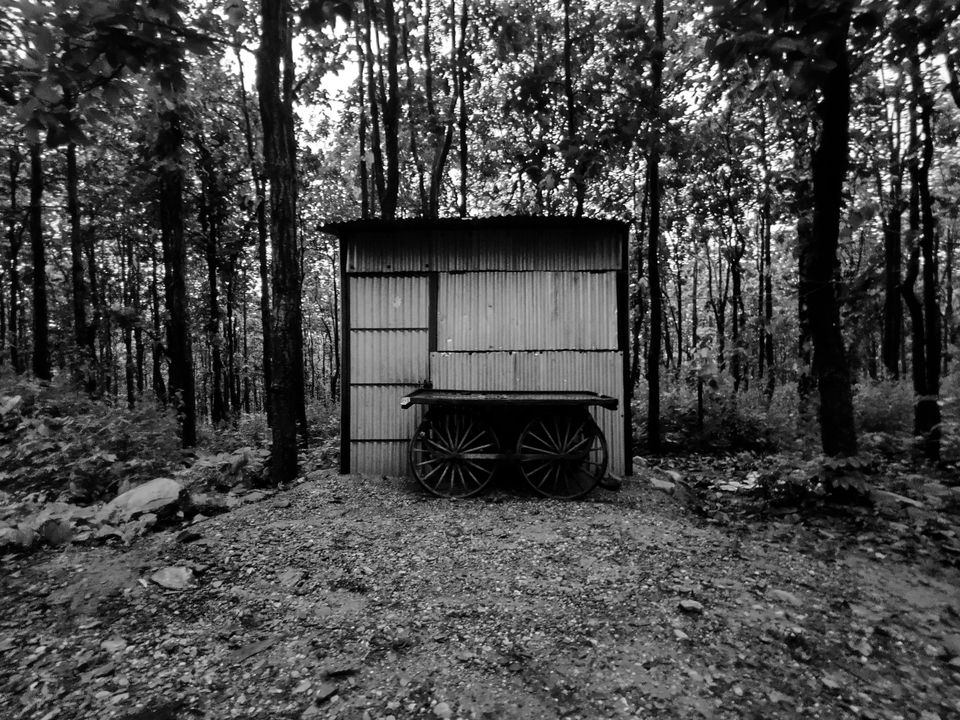 Photo of Dehradun, Uttarakhand, India by kapil dk