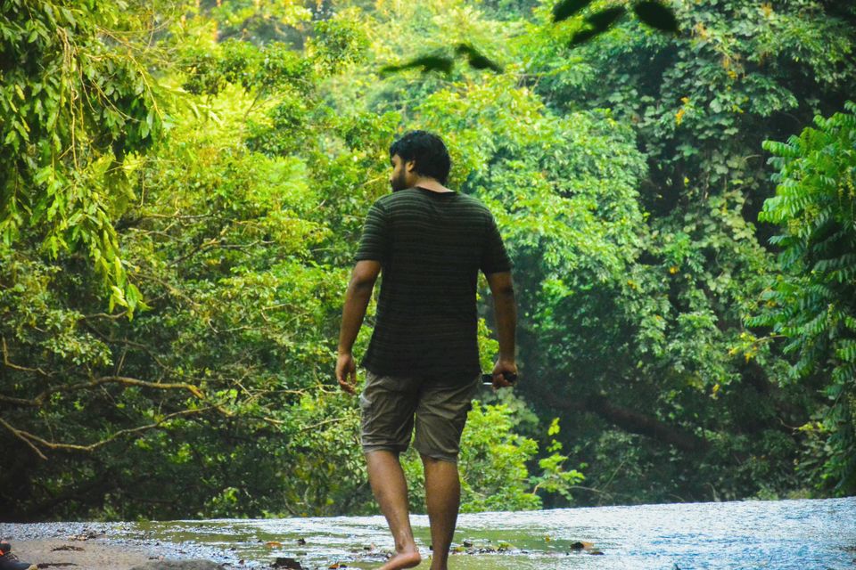 Photo of Dhoni waterfall & forest trekk by Hrithu Raj