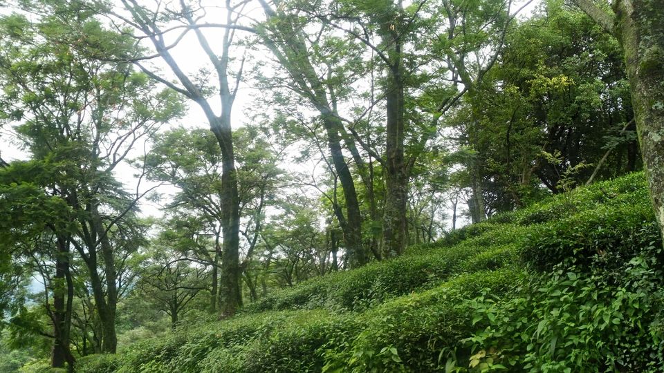 Photo of Days of joy in McLeod ganj by saksham budhiraja