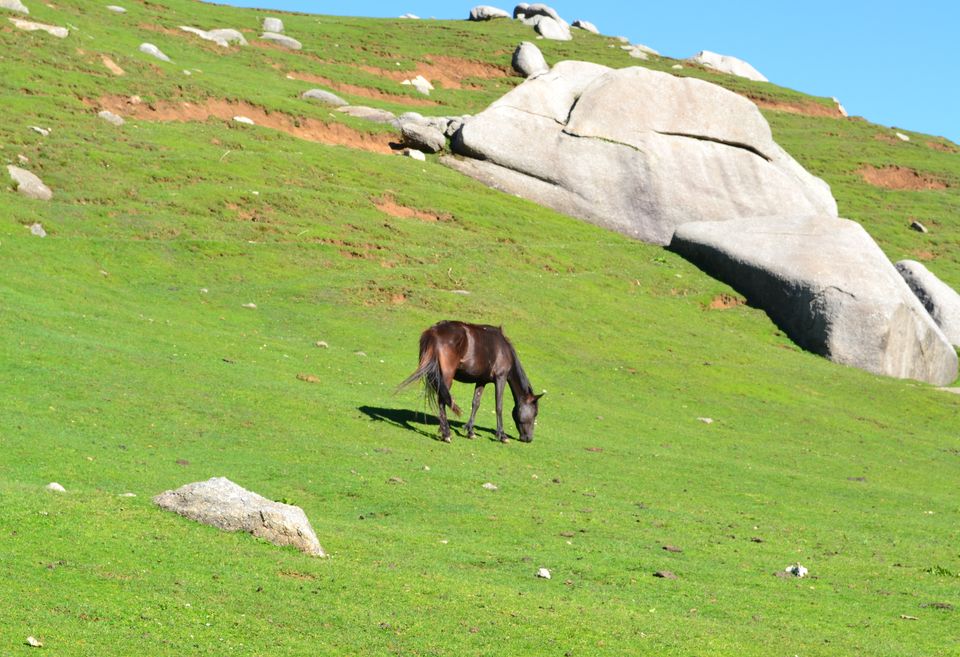 Photo of Kareri Lake, Kareri, Himachal Pradesh by MEENAKSHI CHAUHAN