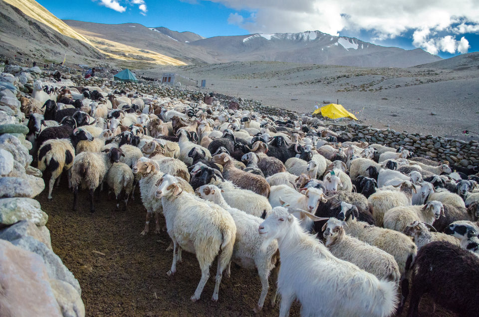 Photo of Pipes of Ladakh: Part 2 3/6 by Rijul Raj Khurana