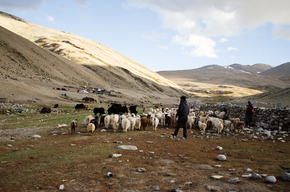 Photo of Pipes of Ladakh: Part 2 5/6 by Rijul Raj Khurana