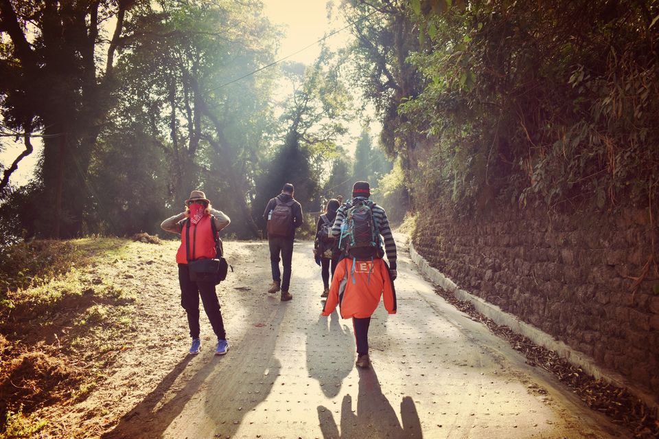 Photo of Christmas Trek to Tonglu 2/16 by Asmita Banerjee