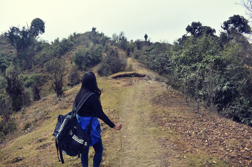 Photo of Christmas Trek to Tonglu 6/16 by Asmita Banerjee