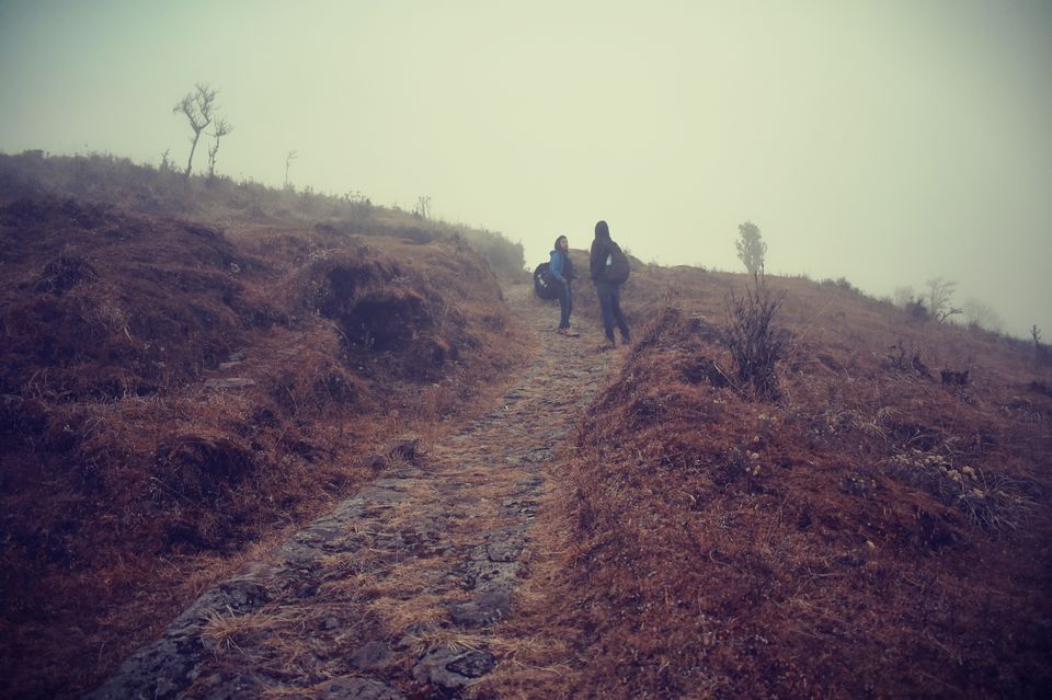 Photo of Christmas Trek to Tonglu 7/16 by Asmita Banerjee