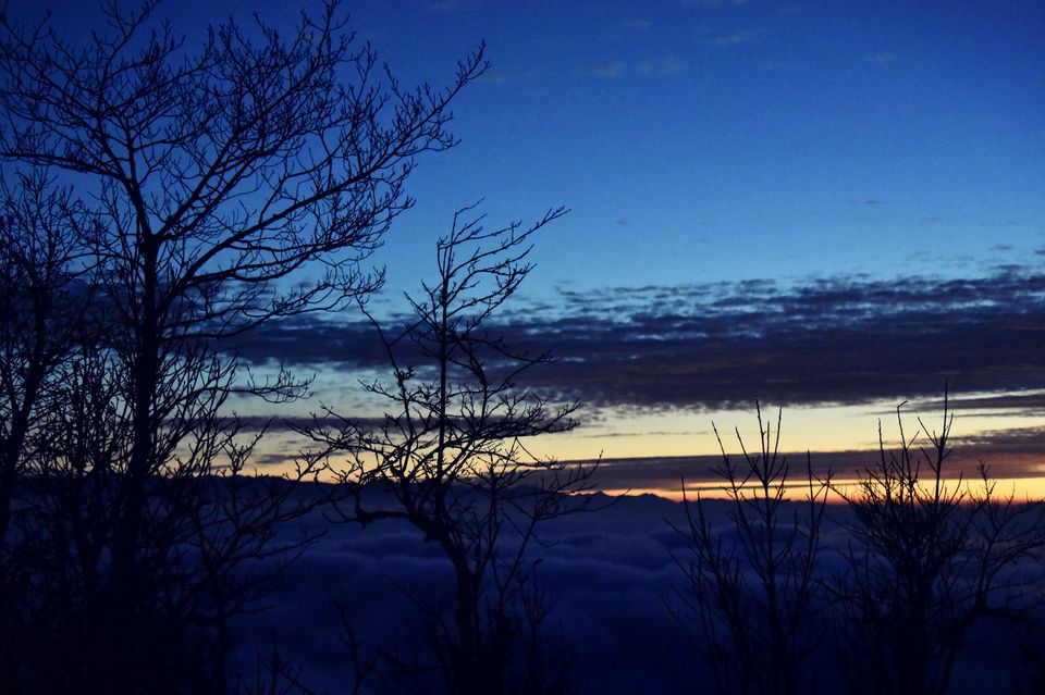 Photo of Christmas Trek to Tonglu 12/16 by Asmita Banerjee