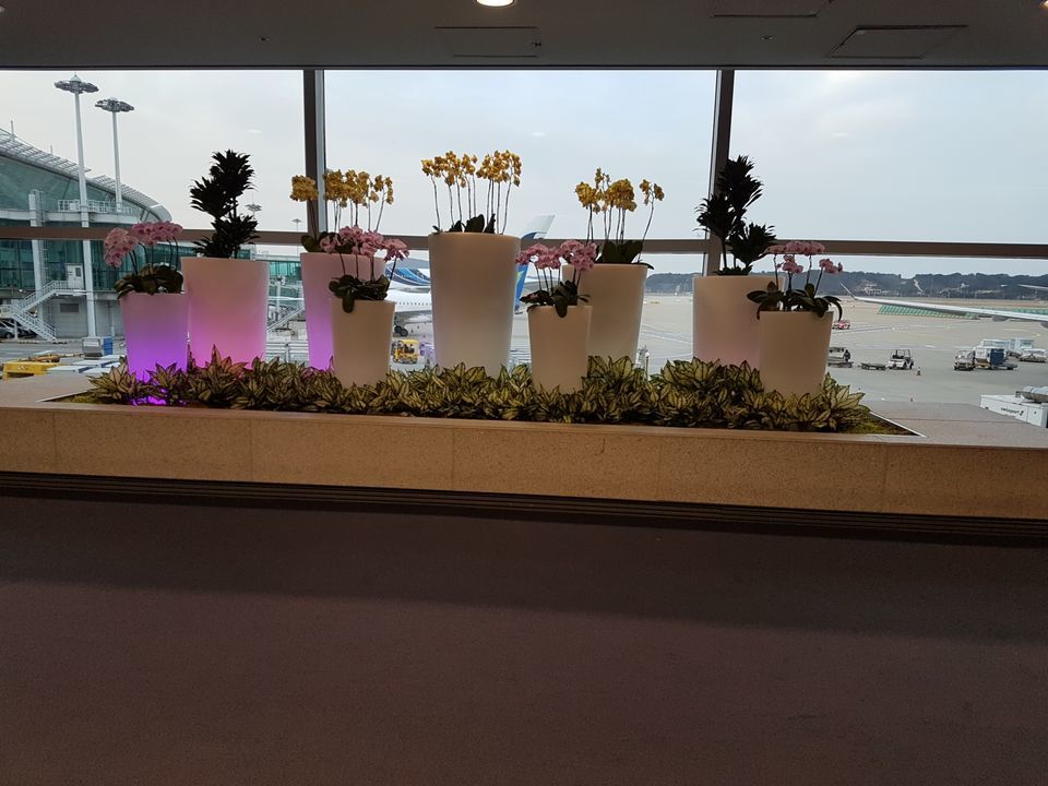 Photo of Incheon International Airport (ICN), Gonghang-ro, Jung-gu, Incheon, South Korea by Subodh Shinde