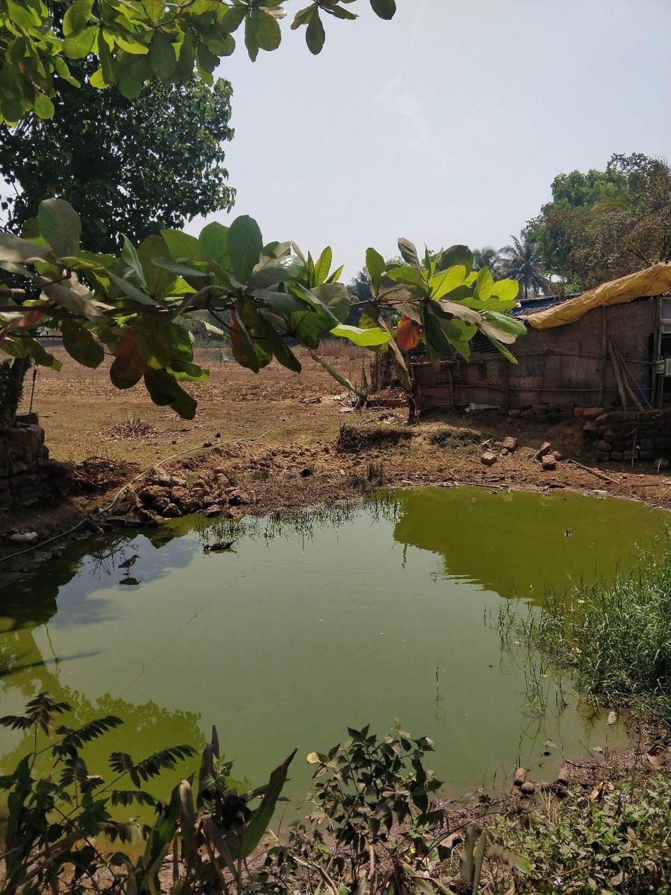 Photo of Goan Escape by Rishav Sengupta