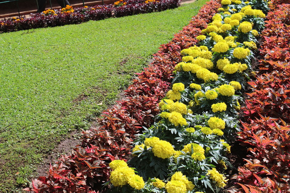 Photo of Ooty, Tamil Nadu, India by Animesh Ghosh