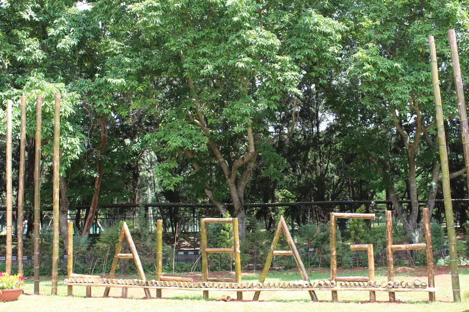 Photo of Lalbagh Botanical Garden, Mavalli, Bengaluru, Karnataka, India by Animesh Ghosh