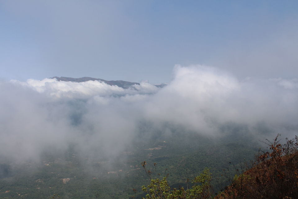 Photo of Chikmagalur- Heaven on the Western Ghats by Animesh Ghosh