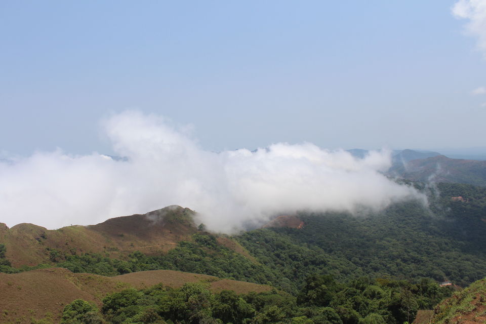 Photo of Chikmagalur- Heaven on the Western Ghats by Animesh Ghosh