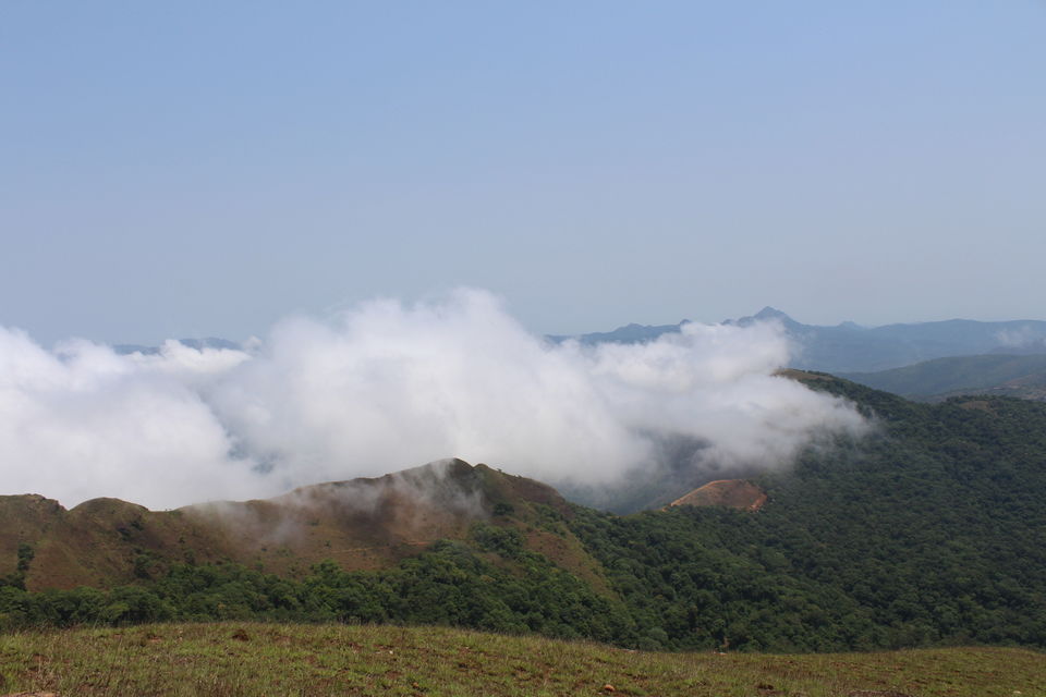 Photo of Chikmagalur- Heaven on the Western Ghats by Animesh Ghosh