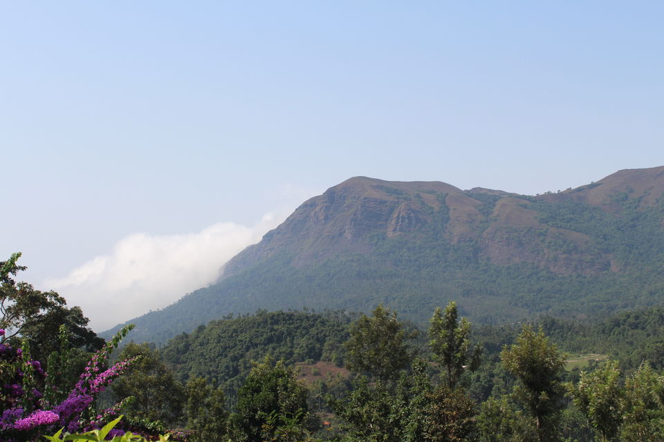 Photo of Chikmagalur- Heaven on the Western Ghats by Animesh Ghosh