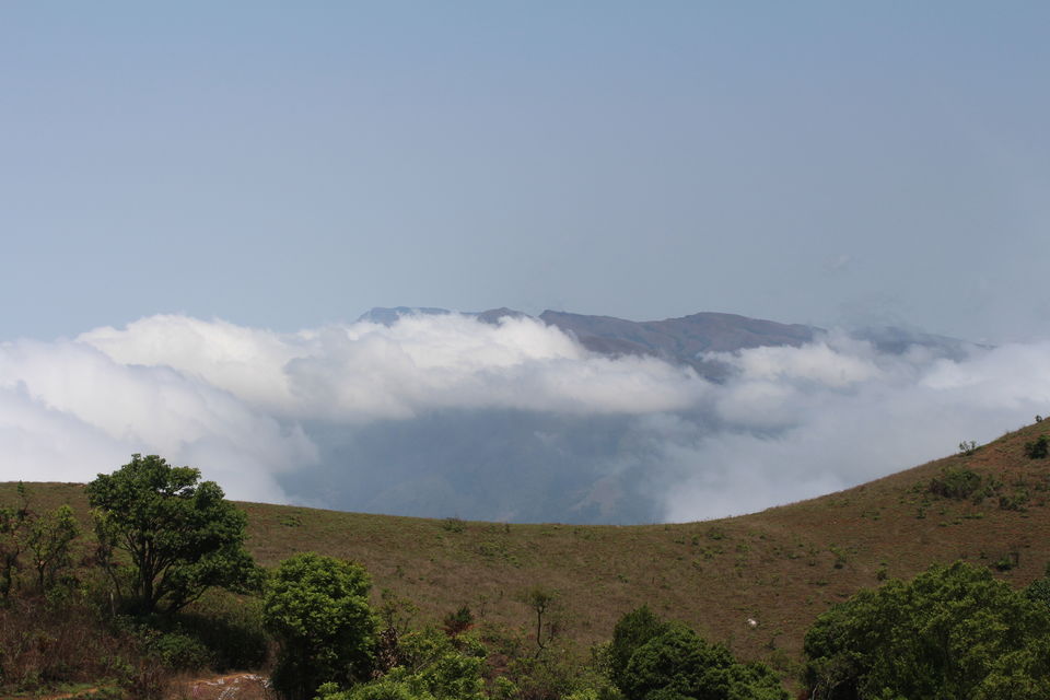 Photo of Chikmagalur- Heaven on the Western Ghats by Animesh Ghosh