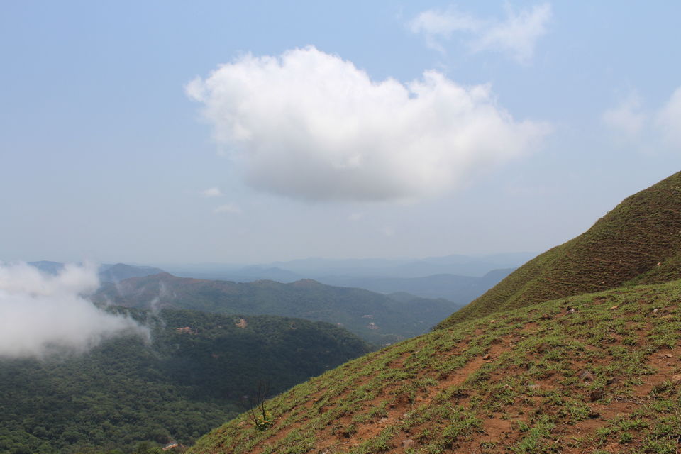 Photo of Chikmagalur- Heaven on the Western Ghats by Animesh Ghosh