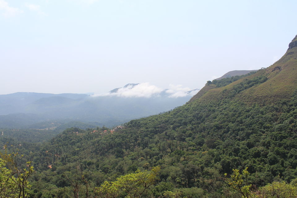 Photo of Chikmagalur- Heaven on the Western Ghats by Animesh Ghosh