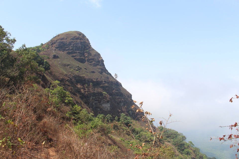 Photo of Chikmagalur- Heaven on the Western Ghats by Animesh Ghosh