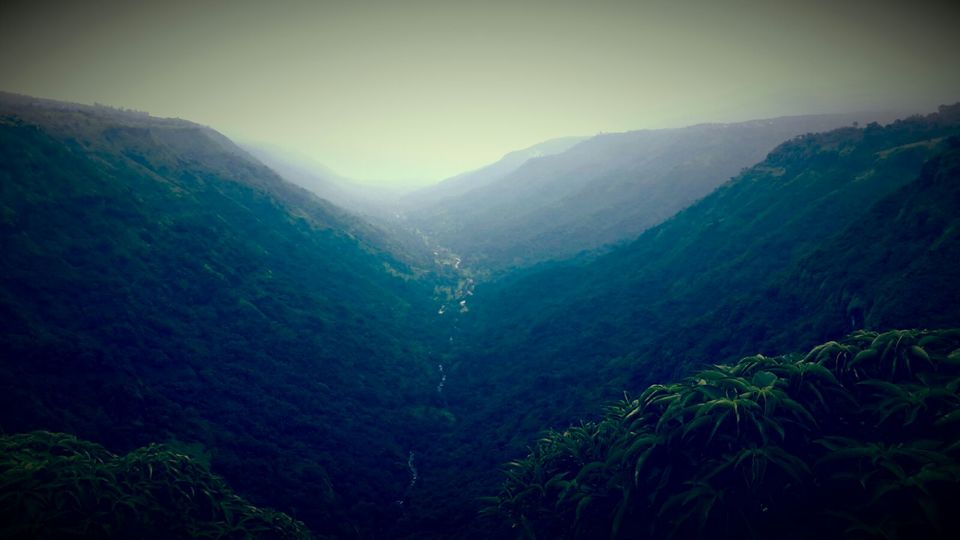 Photo of A Trip to the Land of Strawberries 1/23 by Animesh Ghosh