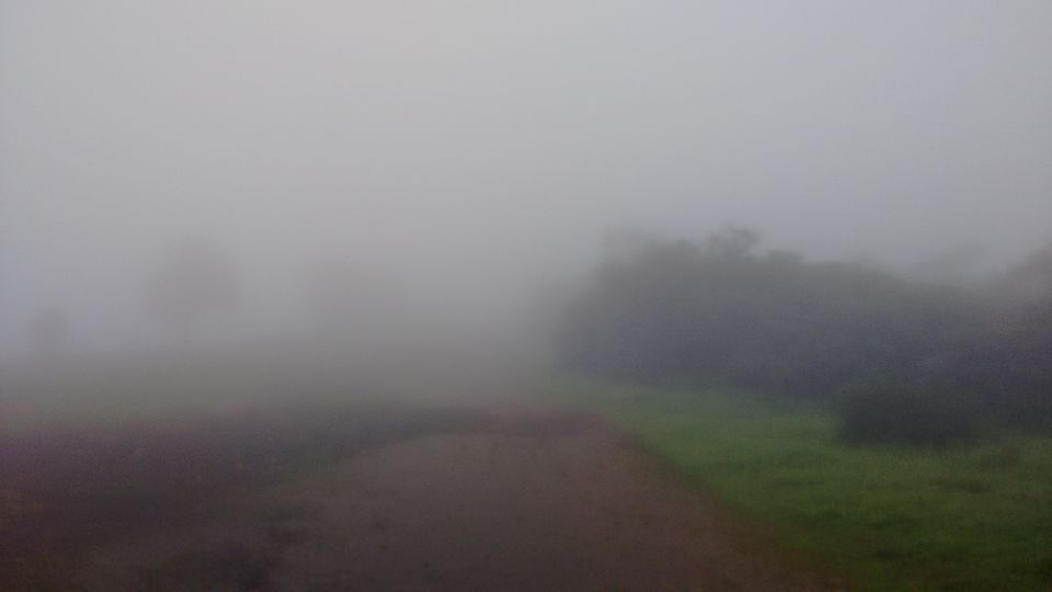Photo of A Trip to the Land of Strawberries 17/23 by Animesh Ghosh