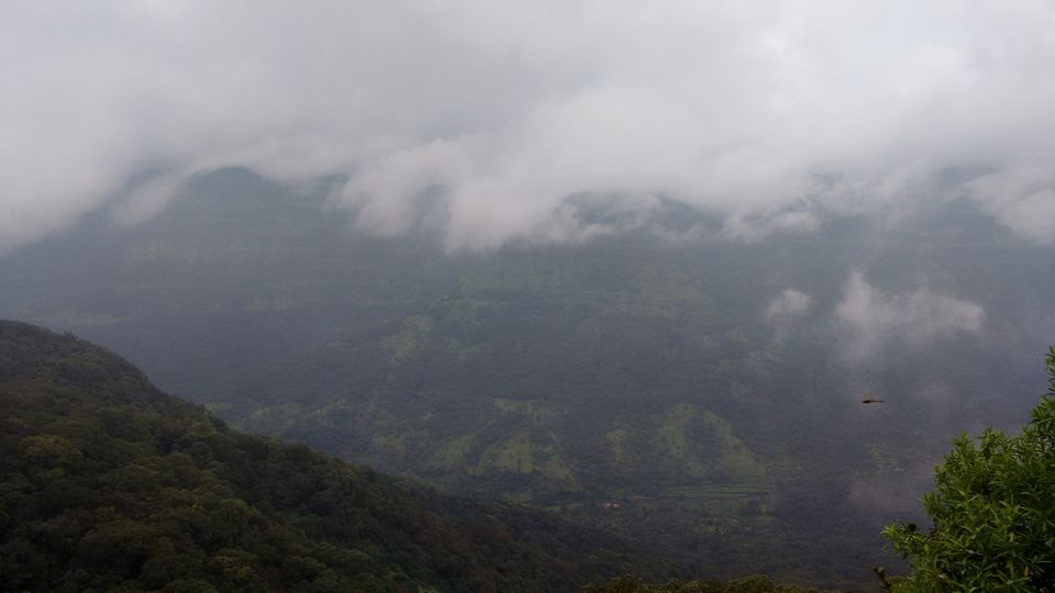 Photo of A Trip to the Land of Strawberries 14/23 by Animesh Ghosh