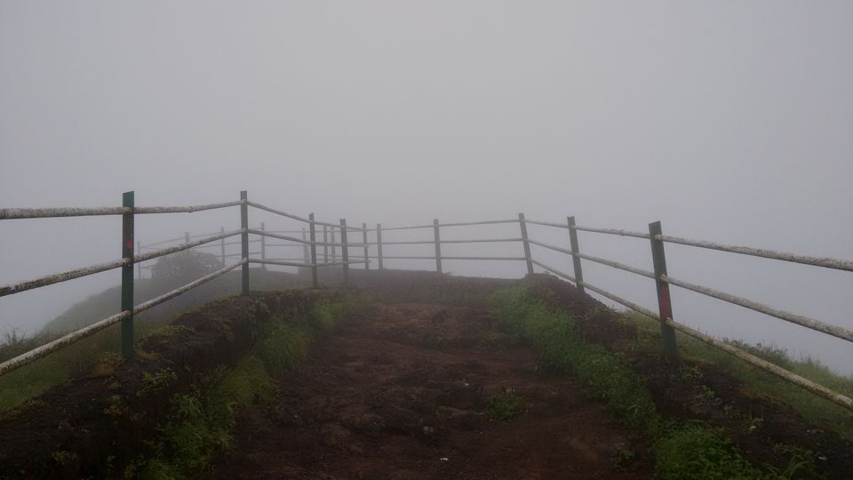 Photo of A Trip to the Land of Strawberries 16/23 by Animesh Ghosh