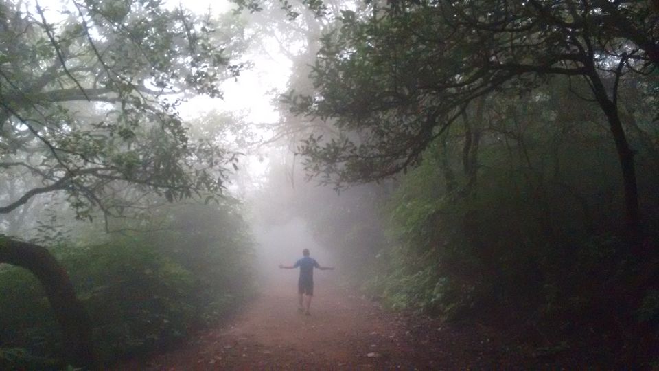 Photo of A Trip to the Land of Strawberries 18/23 by Animesh Ghosh