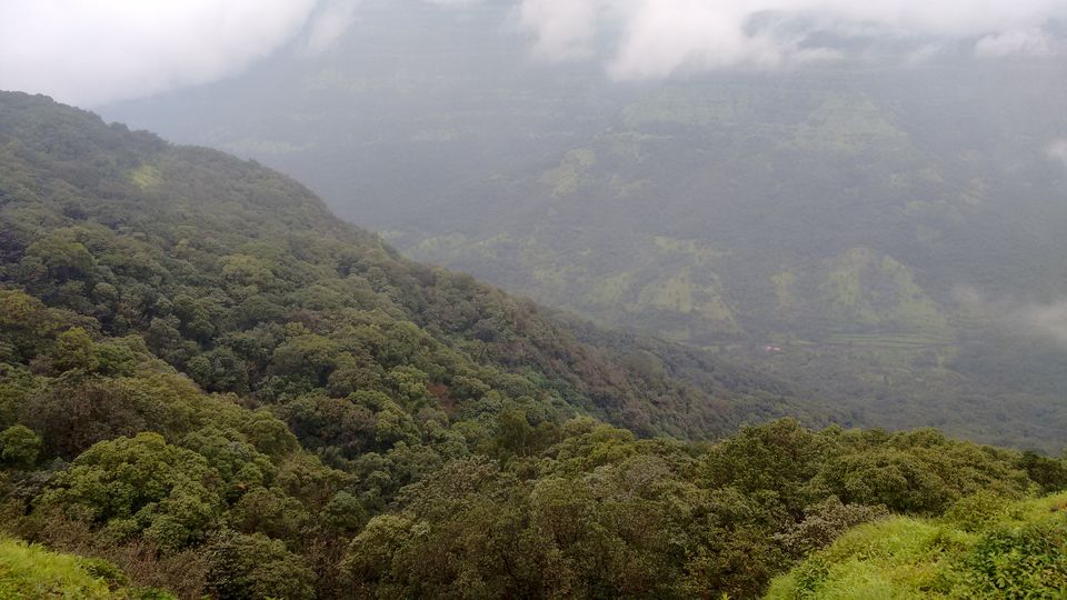 Photo of A Trip to the Land of Strawberries 15/23 by Animesh Ghosh