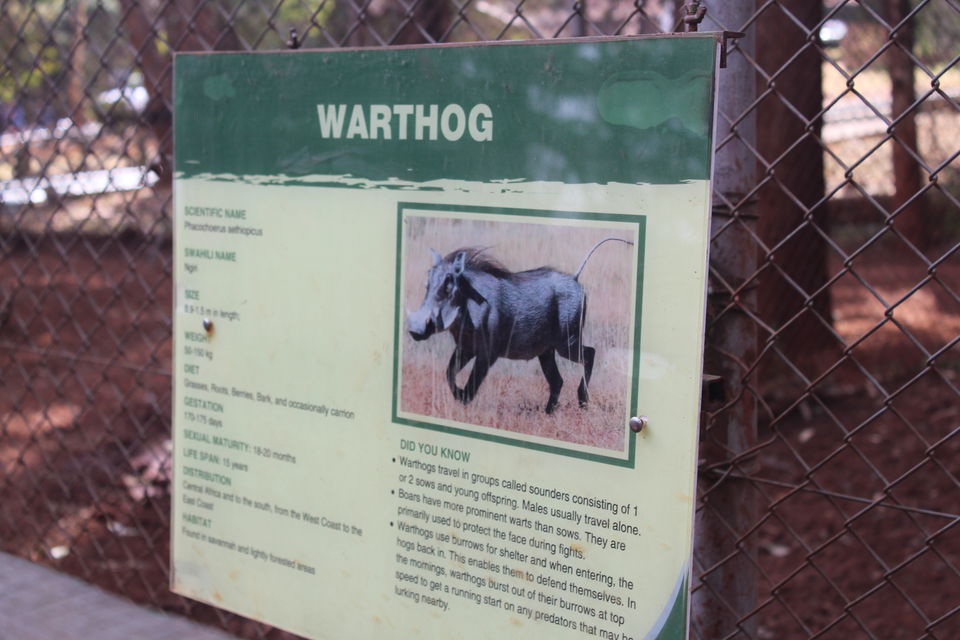 Photo of A Week in Nairobi 2/12 by Animesh Ghosh