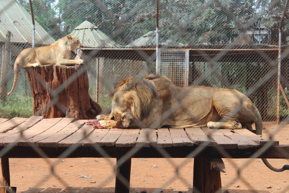 Photo of A Week in Nairobi 4/12 by Animesh Ghosh