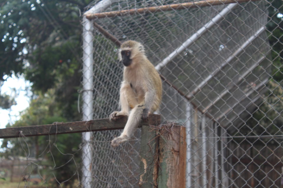 Photo of A Week in Nairobi 6/12 by Animesh Ghosh