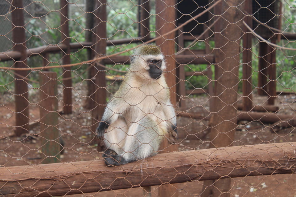 Photo of A Week in Nairobi 7/12 by Animesh Ghosh