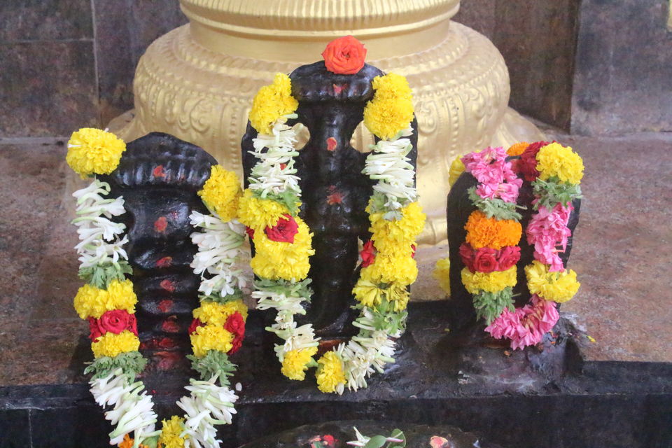 Photo of Weekend Ride to Kolar 6/24 by Animesh Ghosh