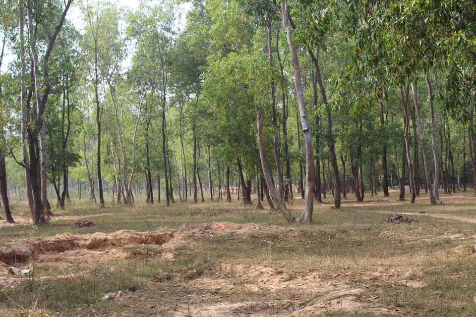 Photo of A Journey to the Abode of Peace 1/23 by Animesh Ghosh