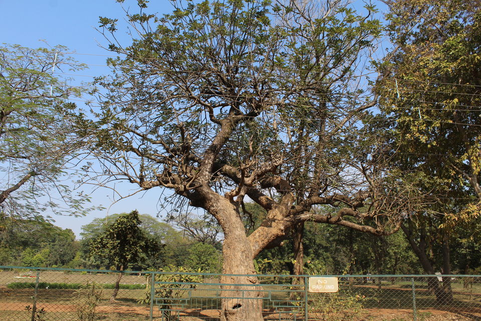 Photo of A Journey to the Abode of Peace 2/23 by Animesh Ghosh