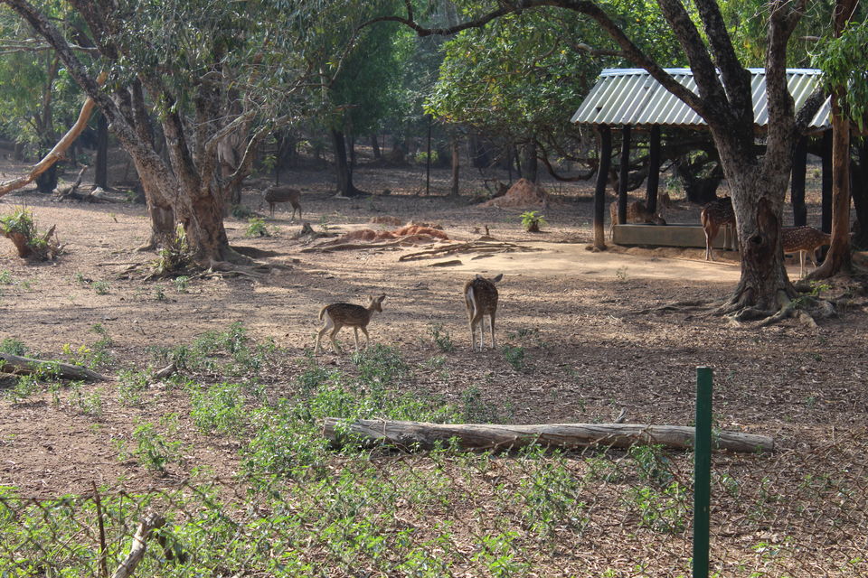 Photo of A Journey to the Abode of Peace 12/23 by Animesh Ghosh