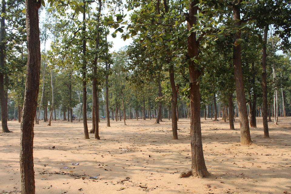 Photo of A Journey to the Abode of Peace 15/23 by Animesh Ghosh