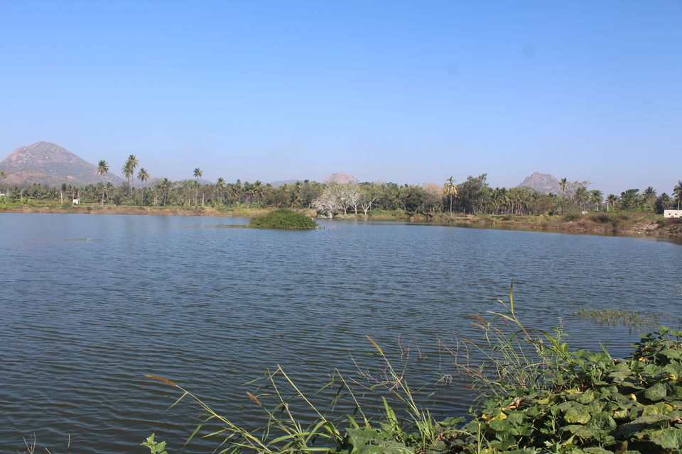 Photo of Exploring the Unexplored: Sangama & Chunchi Falls 2/11 by Animesh Ghosh