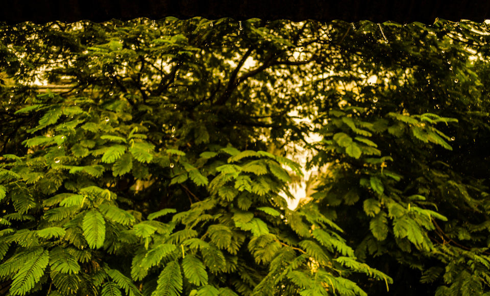 Photo of Pune, Maharashtra, India by Akhil Verma