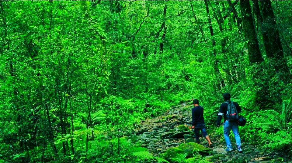 Photo of Mawphlang Sacred Grove, Nongrum, Meghalaya, India by a_lonenomad