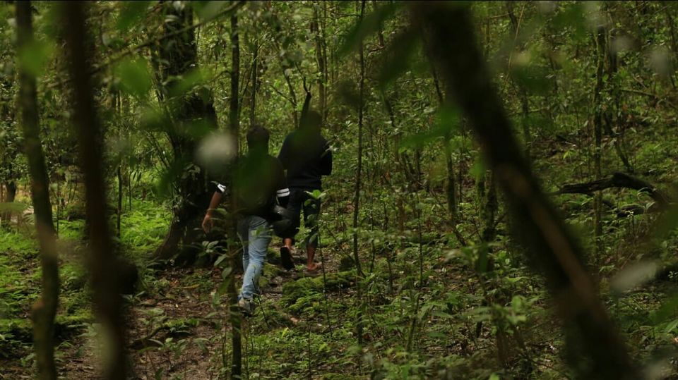 Photo of Mawphlang Sacred Grove, Nongrum, Meghalaya, India by a_lonenomad