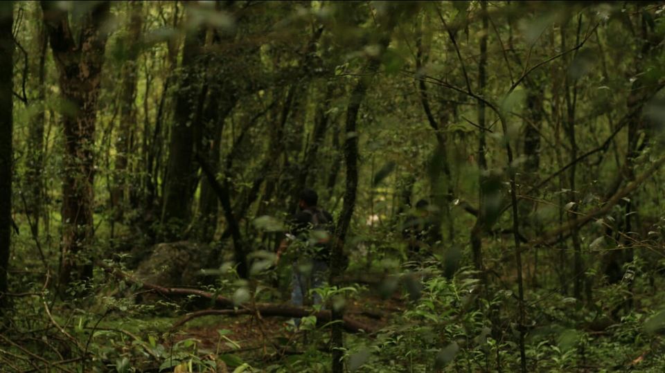 Photo of Mawphlang Sacred Grove, Nongrum, Meghalaya, India by a_lonenomad