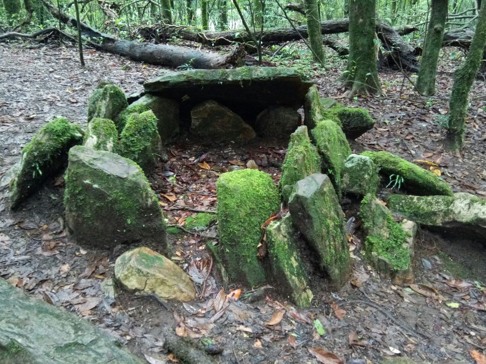 Photo of Mawphlang Sacred Grove, Nongrum, Meghalaya, India by a_lonenomad